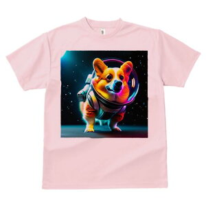 R[M[ TVc fB[X t@  t  vg JWA 킢 lԗp h ̃fUC ʔ F R[M[ F Xy[X