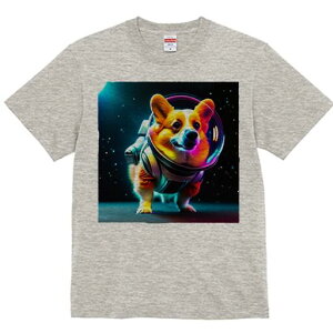 R[M[ TVc fB[X t@  t  vg JWA 킢 lԗp h ̃fUC ʔ F R[M[ F Xy[X