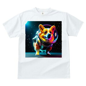 R[M[ TVc fB[X t@  t  vg JWA 킢 lԗp h ̃fUC ʔ F R[M[ F Xy[X