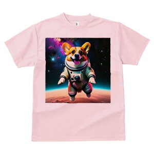 R[M[ TVc fB[X t@  t  vg JWA 킢 lԗp h ̃fUC ʔ F R[M[ F f