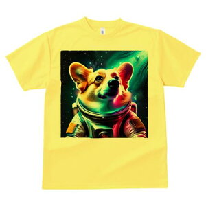 R[M[ TVc fB[X t@  t  vg JWA 킢 lԗp h ̃fUC ʔ F R[M[ F