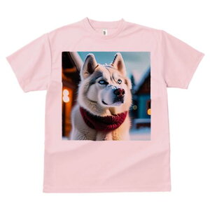 VxAnXL[ TVc fB[X t@  t  vg JWA 킢 lԗp h ̃fUC ʔ  VxAnXL[ XJ[t ~ NX}X