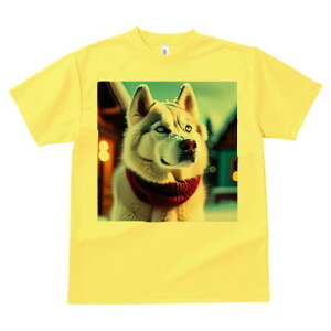 VxAnXL[ TVc fB[X t@  t  vg JWA 킢 lԗp h ̃fUC ʔ  VxAnXL[ XJ[t ~ NX}X