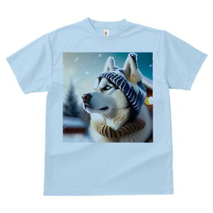 VxAnXL[ TVc fB[X t@  t  vg JWA 킢 lԗp h ̃fUC ʔ ~ VxAnXL[  Xq }t[