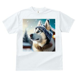 VxAnXL[ TVc fB[X t@  t  vg JWA 킢 lԗp h ̃fUC ʔ ~ VxAnXL[  Xq }t[