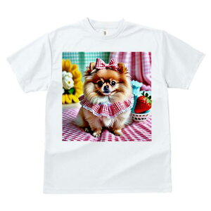 |jA TVc fB[X t@  t  vg JWA 킢 lԗp h ̃fUC ʔ { |jA  