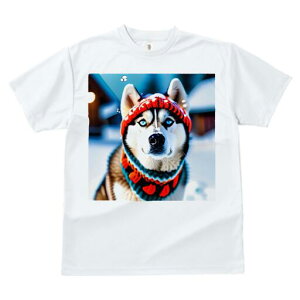 VxAnXL[ TVc fB[X t@  t  vg JWA 킢 lԗp h ̃fUC ʔ Xq VxAnXL[ XJ[t 