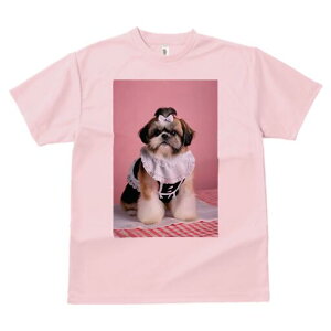 V[Y[ TVc fB[X t@  t  vg JWA 킢 lԗp h ̃fUC ʔ Ch V[Y[ {