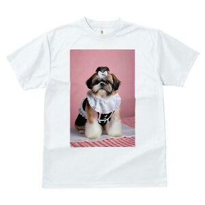 V[Y[ TVc fB[X t@  t  vg JWA 킢 lԗp h ̃fUC ʔ Ch V[Y[ {