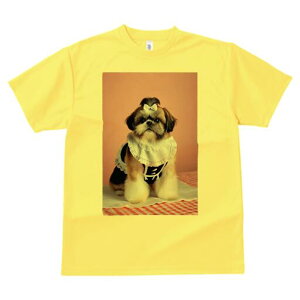 V[Y[ TVc fB[X t@  t  vg JWA 킢 lԗp h ̃fUC ʔ Ch V[Y[ {