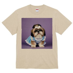 V[Y[ TVc fB[X t@  t  vg JWA 킢 lԗp h ̃fUC ʔ { V[Y[ s[X