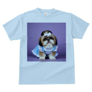 V[Y[ TVc fB[X t@  t  vg JWA 킢 lԗp h ̃fUC ʔ { V[Y[ s[X