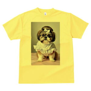 V[Y[ TVc fB[X t@  t  vg JWA 킢 lԗp h ̃fUC ʔ { V[Y[ s[X