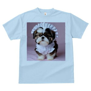 V[Y[ TVc fB[X t@  t  vg JWA 킢 lԗp h ̃fUC ʔ Ch V[Y[ [X