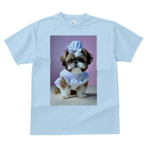 V[Y[ TVc fB[X t@  t  vg JWA 킢 lԗp h ̃fUC ʔ Xq V[Y[ 