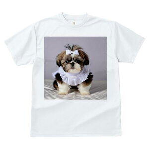 V[Y[ TVc fB[X t@  t  vg JWA 킢 lԗp h ̃fUC ʔ { V[Y[ 