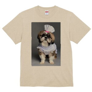 V[Y[ TVc fB[X t@  t  vg JWA 킢 lԗp h ̃fUC ʔ RbNX V[Y[ sÑ{ Gv