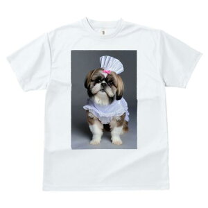 V[Y[ TVc Y LbY t@  t  vg JWA 킢 lԗp h ̃fUC ʔ RbNX V[Y[ sÑ{ Gv