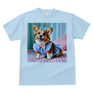 R[M[ TVc fB[X t@  t  vg JWA 킢 lԗp h ̃fUC ʔ { R[M[ MK`FbN s[X