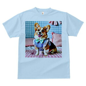 R[M[ TVc fB[X t@  t  vg JWA 킢 lԗp h ̃fUC ʔ `FbN R[M[ lN^C xbh