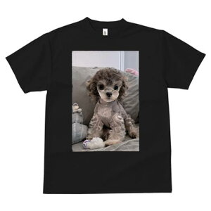 gCv[h TVc fB[X t@  t  vg JWA 킢 lԗp h ̃fUC ʔ ʂ gCv[h NbV 