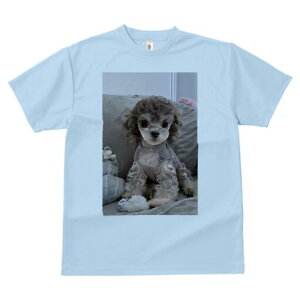 gCv[h TVc Y LbY t@  t  vg JWA 킢 lԗp h ̃fUC ʔ ʂ gCv[h NbV 