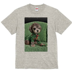 gCv[h TVc fB[X t@  t  vg JWA 킢 lԗp h ̃fUC ʔ  gCv[h  