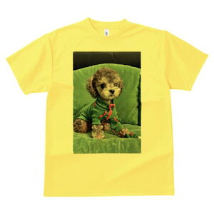 gCv[h TVc fB[X t@  t  vg JWA 킢 lԗp h ̃fUC ʔ  gCv[h  