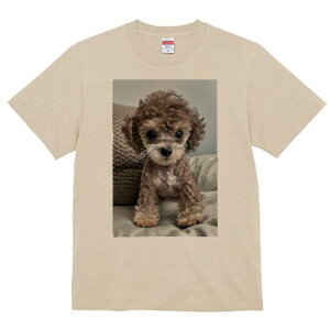 gCv[h TVc Y LbY t@  t  vg JWA 킢 lԗp h ̃fUC ʔ ʂ gCv[h L[g 炵