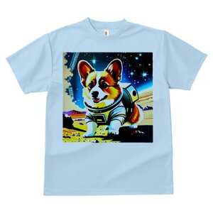 R[M[ TVc fB[X t@  t  vg JWA 킢 lԗp h ̃fUC ʔ F R[M[ F 