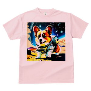 R[M[ TVc fB[X t@  t  vg JWA 킢 lԗp h ̃fUC ʔ F R[M[ F 