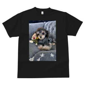 gCv[h TVc fB[X t@  t  vg JWA 킢 lԗp h ̃fUC ʔ ʂ gCv[h Z[^[ NbV 