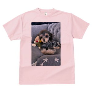 gCv[h TVc Y LbY t@  t  vg JWA 킢 lԗp h ̃fUC ʔ ʂ gCv[h Z[^[ NbV 