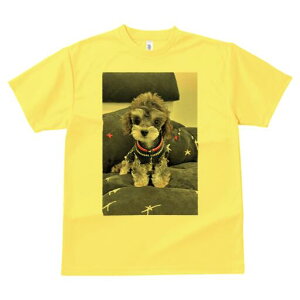 gCv[h,~j`AViEU[ TVc fB[X t@  t  vg JWA 킢 lԗp h ̃fUC ʔ  gCv[h,~j`AV