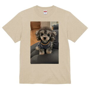 gCv[h TVc fB[X t@  t  vg JWA 킢 lԗp h ̃fUC ʔ  gCv[h