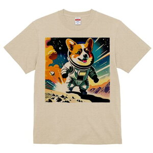 R[M[ TVc fB[X t@  t  vg JWA 킢 lԗp h ̃fUC ʔ F R[M[ Fsm Xy[X 