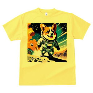 R[M[ TVc fB[X t@  t  vg JWA 킢 lԗp h ̃fUC ʔ F R[M[ Fsm Xy[X 