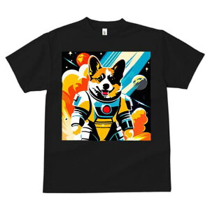 R[M[ TVc fB[X t@  t  vg JWA 킢 lԗp h ̃fUC ʔ F R[M[ F f 