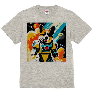 R[M[ TVc fB[X t@  t  vg JWA 킢 lԗp h ̃fUC ʔ F R[M[ F f 