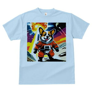 R[M[ TVc fB[X t@  t  vg JWA 킢 lԗp h ̃fUC ʔ F R[M[ F  f