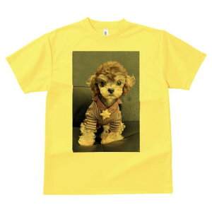 gCv[h TVc fB[X t@  t  vg JWA 킢 lԗp h ̃fUC ʔ  gCv[h 