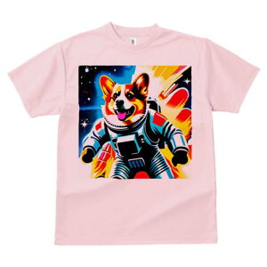 R[M[ TVc fB[X t@  t  vg JWA 킢 lԗp h ̃fUC ʔ F R[M[ F Xy[X