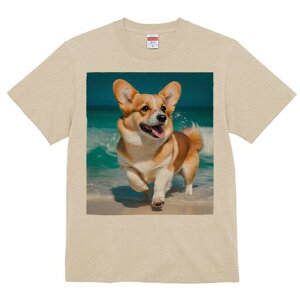 R[M[ TVc fB[X t@  t  vg JWA 킢 lԗp h ̃fUC ʔ C R[M[ g l