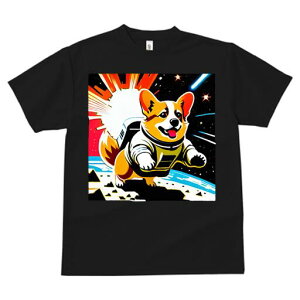 R[M[ TVc fB[X t@  t  vg JWA 킢 lԗp h ̃fUC ʔ F R[M[ Xy[X F 