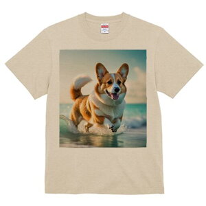 R[M[ TVc fB[X t@  t  vg JWA 킢 lԗp h ̃fUC ʔ C R[M[ g l Ԃ