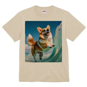 R[M[ TVc fB[X t@  t  vg JWA 킢 lԗp h ̃fUC ʔ g R[M[ C r[` 