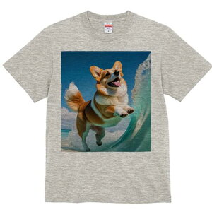 R[M[ TVc fB[X t@  t  vg JWA 킢 lԗp h ̃fUC ʔ g R[M[ C r[` 