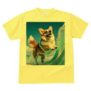 R[M[ TVc fB[X t@  t  vg JWA 킢 lԗp h ̃fUC ʔ g R[M[ C r[` 