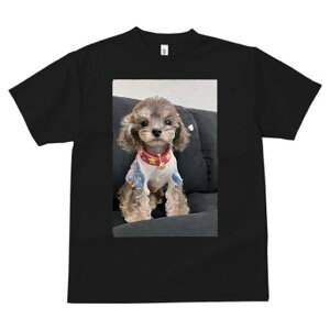 gCv[h TVc fB[X t@  t  vg JWA 킢 lԗp h ̃fUC ʔ  gCv[h