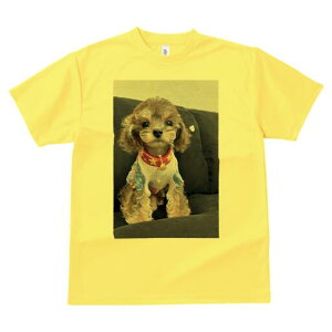 gCv[h TVc fB[X t@  t  vg JWA 킢 lԗp h ̃fUC ʔ  gCv[h